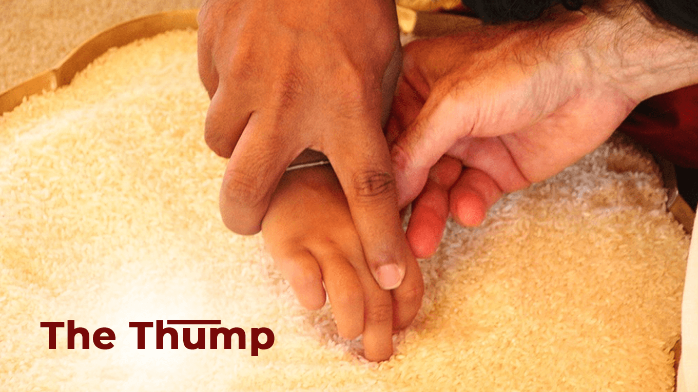 Welcome to The Thump: A Journey of Exploration and Expression