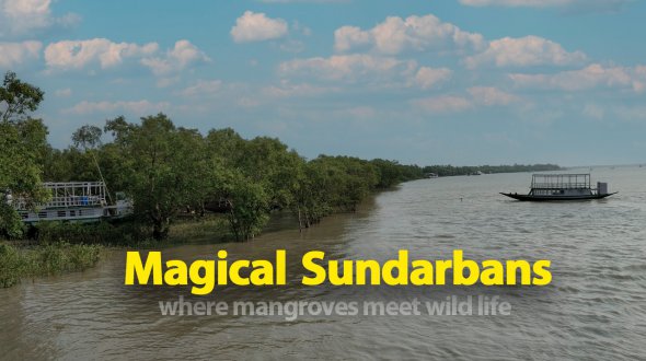 A boat ride in Sundarban